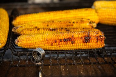 Taze kavrulmuş ya da ızgara corncobs. Izgarada Mısır sokakta Satılık.
