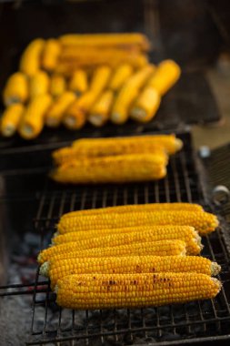 Taze kavrulmuş ya da ızgara corncobs. Izgarada Mısır sokakta Satılık.