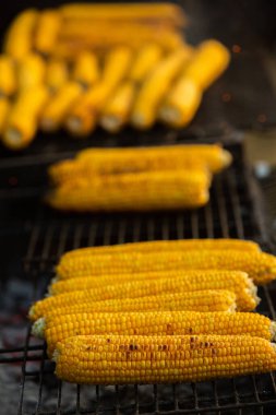 Taze kavrulmuş ya da ızgara corncobs. Izgarada Mısır sokakta Satılık.