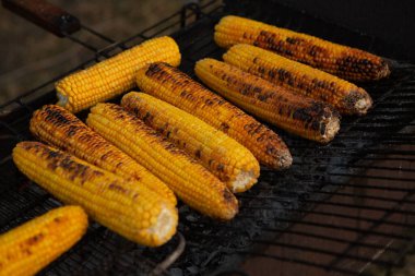 Taze kavrulmuş ya da ızgara corncobs. Izgarada Mısır sokakta Satılık.