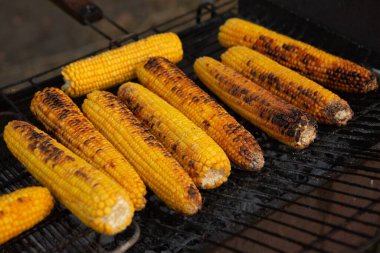 Taze kavrulmuş ya da ızgara corncobs. Izgarada Mısır sokakta Satılık.