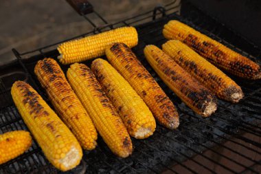Taze kavrulmuş ya da ızgara corncobs. Izgarada Mısır sokakta Satılık.