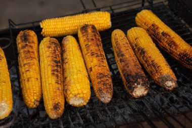 Taze kavrulmuş ya da ızgara corncobs. Izgarada Mısır sokakta Satılık.