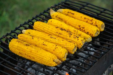 Taze kavrulmuş ya da ızgara corncobs. Izgarada Mısır sokakta Satılık.