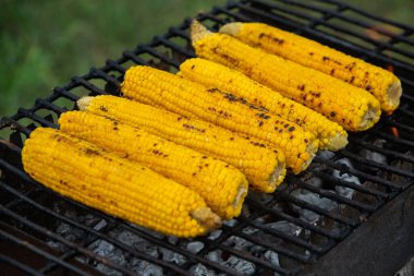 Taze kavrulmuş ya da ızgara corncobs. Izgarada Mısır sokakta Satılık.