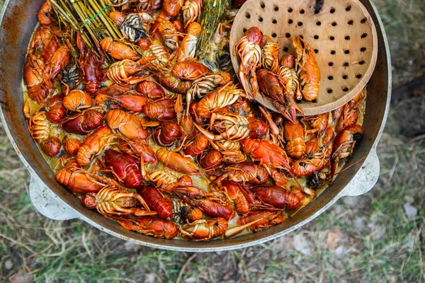 Boiled Red Crayfish Crawfish Herbs Crayfish Boiling Pot Fire — Foto de Stock