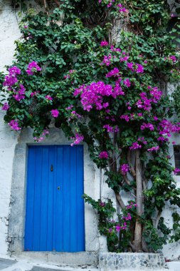 Girit adasındaki Kritsa köyünde dar ve renkli bir cadde. Beyaz cadde, Yunanistan 'da güzel geleneksel evler. 
