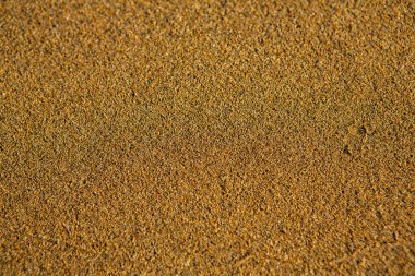 Girit adasının kıyısında altın kumu olan bir arka plan. Metin için kum ve berrak deniz suyuyla soyut yüzey.