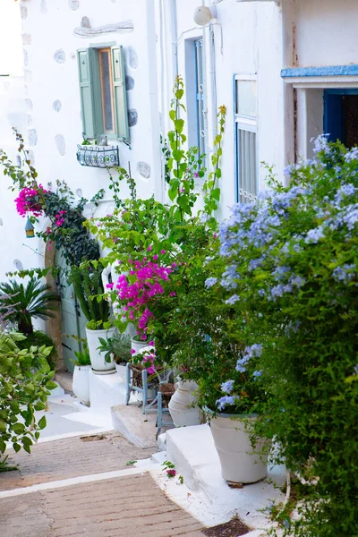 Schmale Und Bunte Straße Dorf Kritsa Auf Der Insel Kreta — Stockfoto