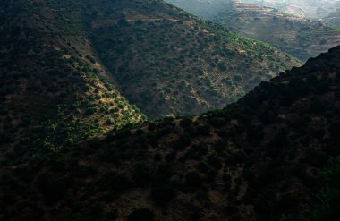 Yunanistan 'ın Girit adasından güzel bir manzara fotoğrafı. Girit 'ten yaz doğası. Akdeniz 'den soğuk turizm