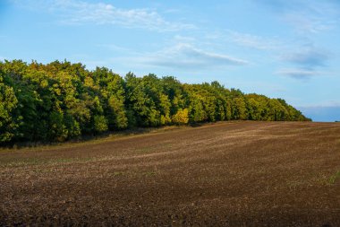 Moldova Cumhuriyeti 'nden verimli topraklara sahip bir manzara. Siyah tarıma elverişli arazi. Ekolojik tarım.
