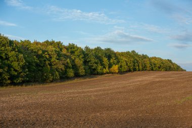 Moldova Cumhuriyeti 'nden verimli topraklara sahip bir manzara. Siyah tarıma elverişli arazi. Ekolojik tarım.