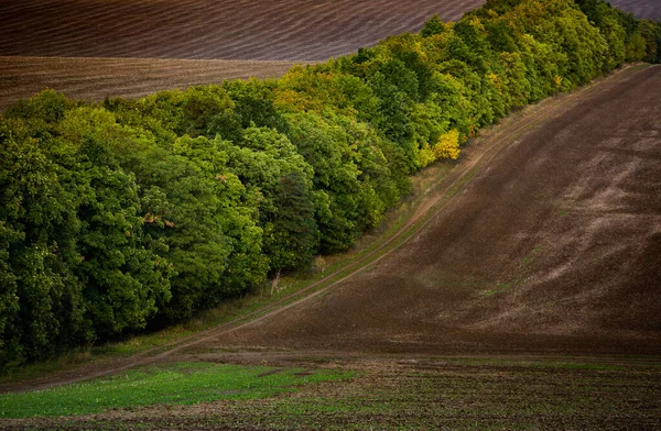 Bild Einer Landschaft Mit Fruchtbarem Boden Aus Der Republik Moldau — Stockfoto