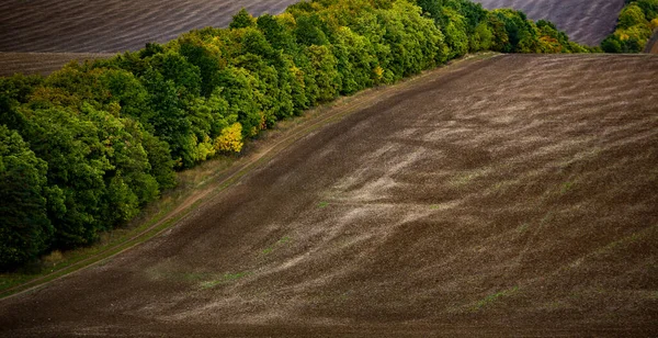 Wizerunek Krajobrazu Żyzną Glebą Republiki Mołdowy Czarna Ziemia Orna Nadaje — Zdjęcie stockowe