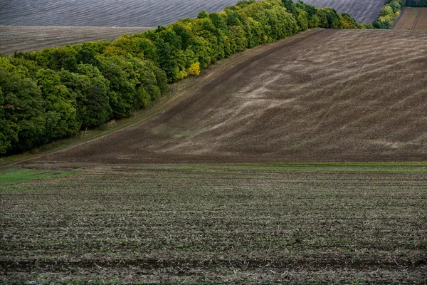 Immagine Paesaggio Con Terreno Fertile Della Repubblica Moldova Terreni Coltivabili — Foto Stock