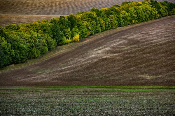 Immagine Paesaggio Con Terreno Fertile Della Repubblica Moldova Terreni Coltivabili — Foto Stock