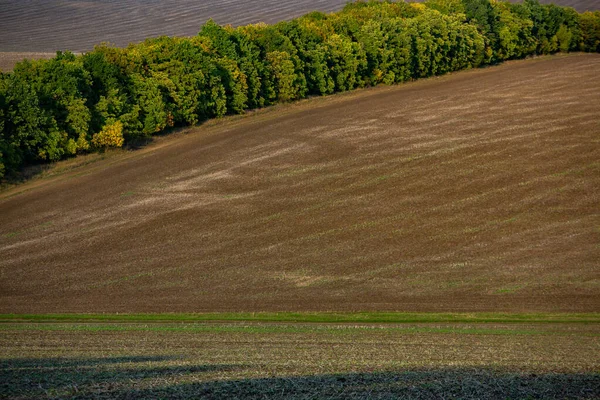 Wizerunek Krajobrazu Żyzną Glebą Republiki Mołdowy Czarna Ziemia Orna Nadaje — Zdjęcie stockowe