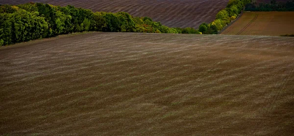 Изображение Ландшафта Плодородной Почвой Республики Молдова Черная Пахотная Земля Хороша — стоковое фото