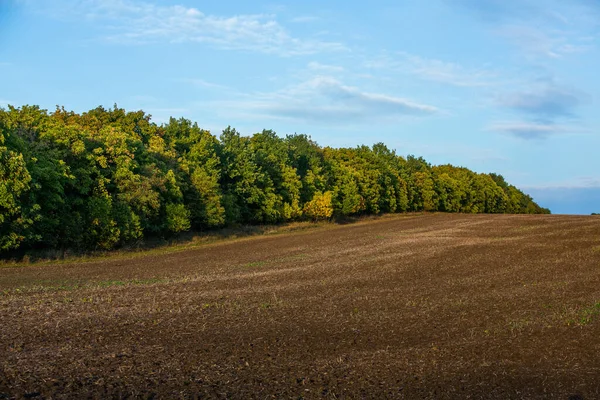 Bild Ett Landskap Med Bördig Jord Från Moldavien Svart Åkermark — Stockfoto