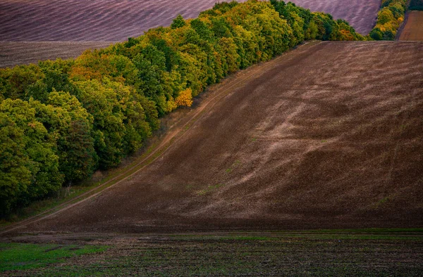 Billede Landskab Med Frugtbar Jord Fra Republikken Moldova Sort Agerjord - Stock-foto