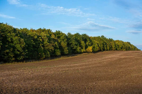 Bild Ett Landskap Med Bördig Jord Från Moldavien Svart Åkermark — Stockfoto