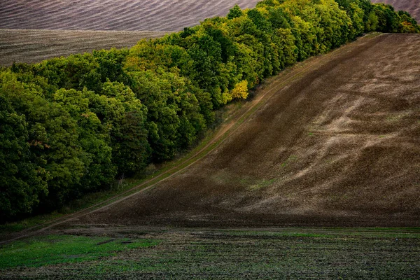 Billede Landskab Med Frugtbar Jord Fra Republikken Moldova Sort Agerjord - Stock-foto