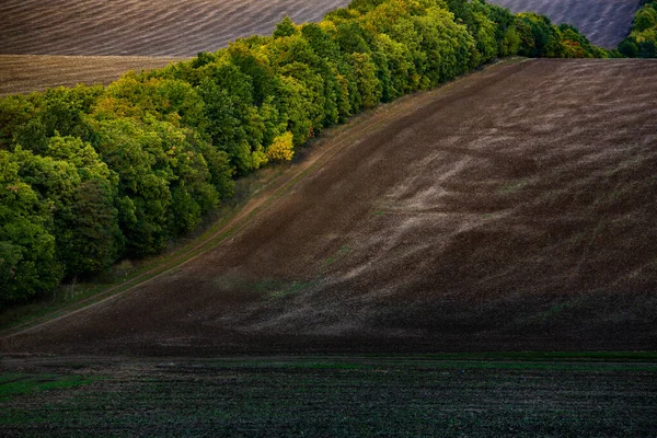 Зображення Ландшафту Родючим Ґрунтом Республіки Молдова Чорна Орна Земля Придатна — стокове фото