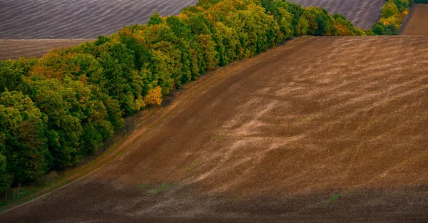 Bild Einer Landschaft Mit Fruchtbarem Boden Aus Der Republik Moldau — Stockfoto