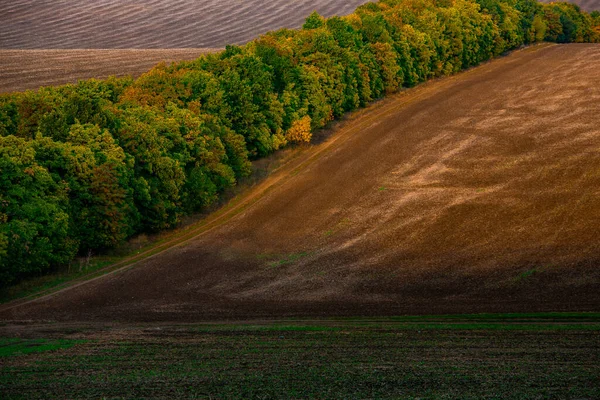 Billede Landskab Med Frugtbar Jord Fra Republikken Moldova Sort Agerjord - Stock-foto