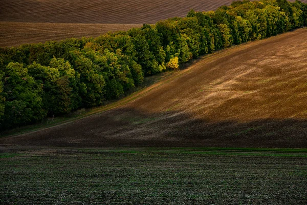 Immagine Paesaggio Con Terreno Fertile Della Repubblica Moldova Terreni Coltivabili — Foto Stock