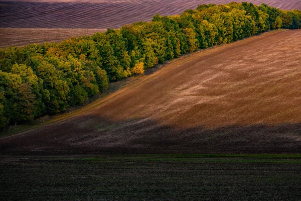 モルドバ共和国から肥沃な土壌を持つ風景のイメージ 播種に適した黒い耕地 生態農業 — ストック写真