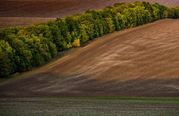 Immagine Paesaggio Con Terreno Fertile Della Repubblica Moldova Terreni Coltivabili — Foto Stock