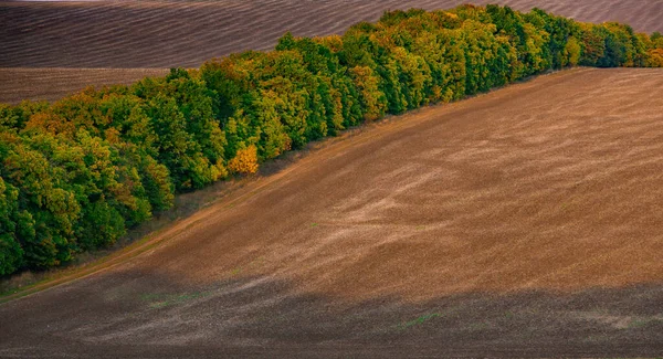 Imagen Paisaje Con Suelo Fértil República Moldavia Tierra Cultivable Negra —  Fotos de Stock