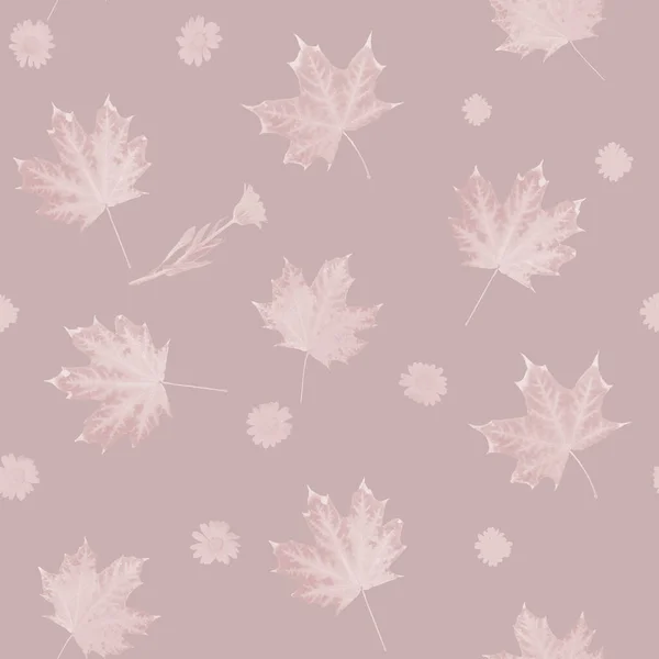 Texture transparente avec des feuilles d'érable. — Photo