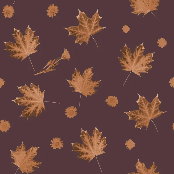 Seamless Texture Photos Autumn Maple Leaveson Green Background — Stock Photo, Image