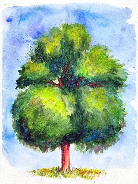 Ілюстрація Акварельного Дерева Синьому Фоні — стокове фото