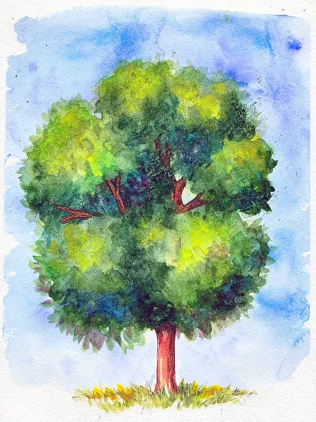 Ілюстрація Акварельного Дерева Синьому Фоні — стокове фото