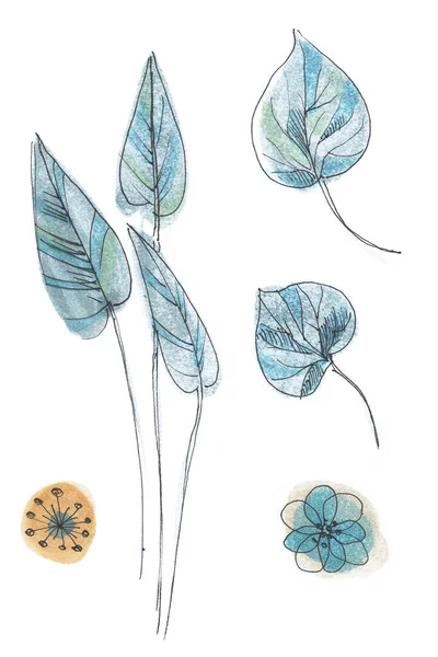 Set Stylized Watercolor Leaves — Fotografia de Stock
