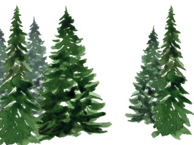 Beyaz arka planda suluboya Noel ağaçları.