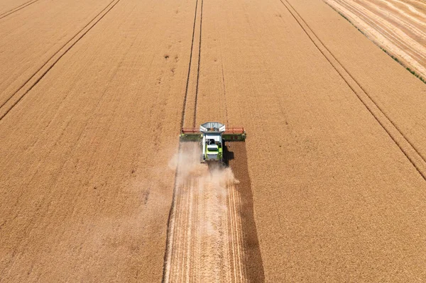 关于联合收割机在麦田上作业的空中观点 农业企业 饥饿农场景观 粮食危机 — 图库照片