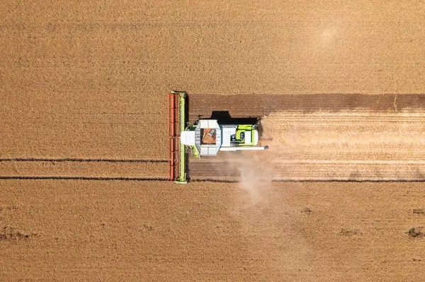 Buğday Tarlasında Çalışan Hasat Makinesinin Havadan Aşağı Görüntüsü Tarım Sektörü — Stok fotoğraf