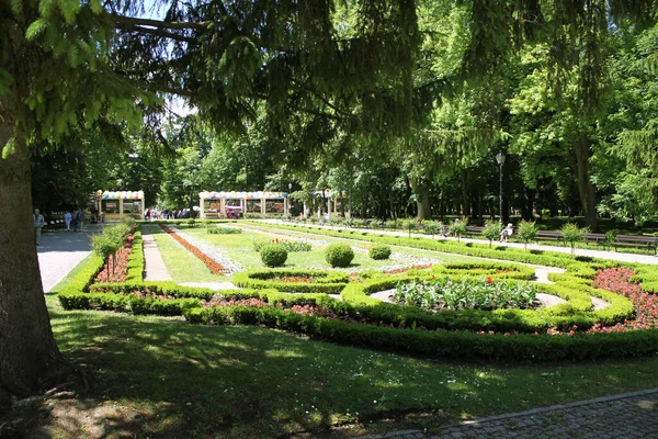 Blumenbeet Mit Blumen Und Sträuchern Eingang Zum Park Der Stadt — Stockfoto