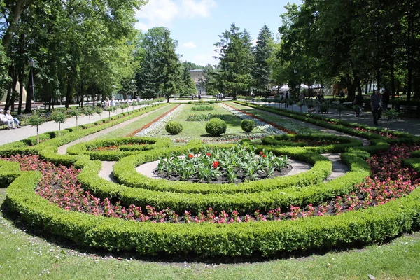 Lit Fleurs Arbustes Entrée Parc Dans Ville Inovroclav — Photo