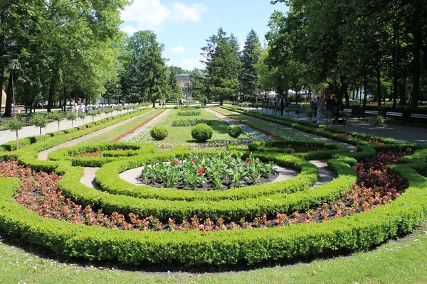 在Inovroclav市公园入口处开满鲜花和灌木 — 图库照片