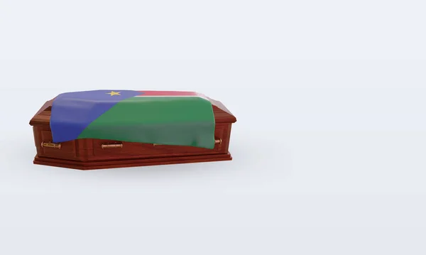 3D副棺材南苏丹国旗向左看 — 图库照片