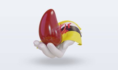 Üçüncü Dünya Kan Donörü Günü Brunei Darussalam bayrağını dalgalandırıyor