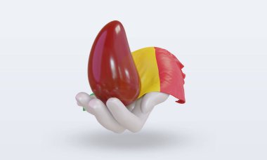 3D Dünya Kan Bağışı Günü Mali bayrağını dalgalandırıyor