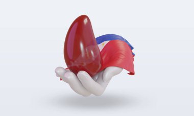 3D Dünya Kan Bağışı Günü Filipinler bayrağını dalgalandırıyor