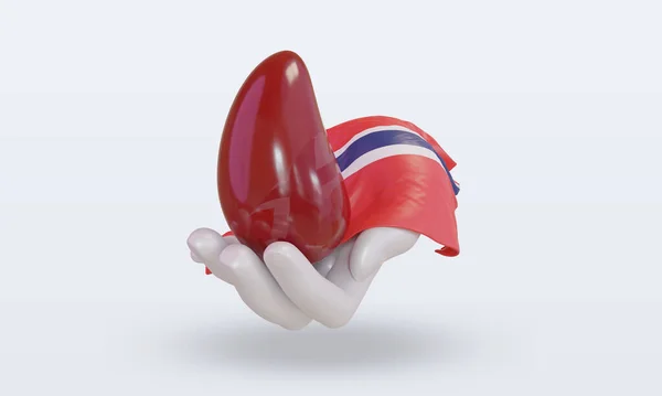 Día Mundial Del Donante Sangre Bandera Noruega Representación Vista Frontal — Foto de Stock
