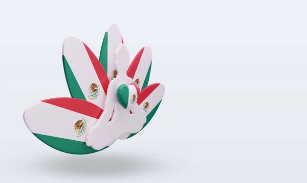 Nemzetközi Jóga Nap Mexikó Zászló Renderelés Bal Nézet — Stock Fotó